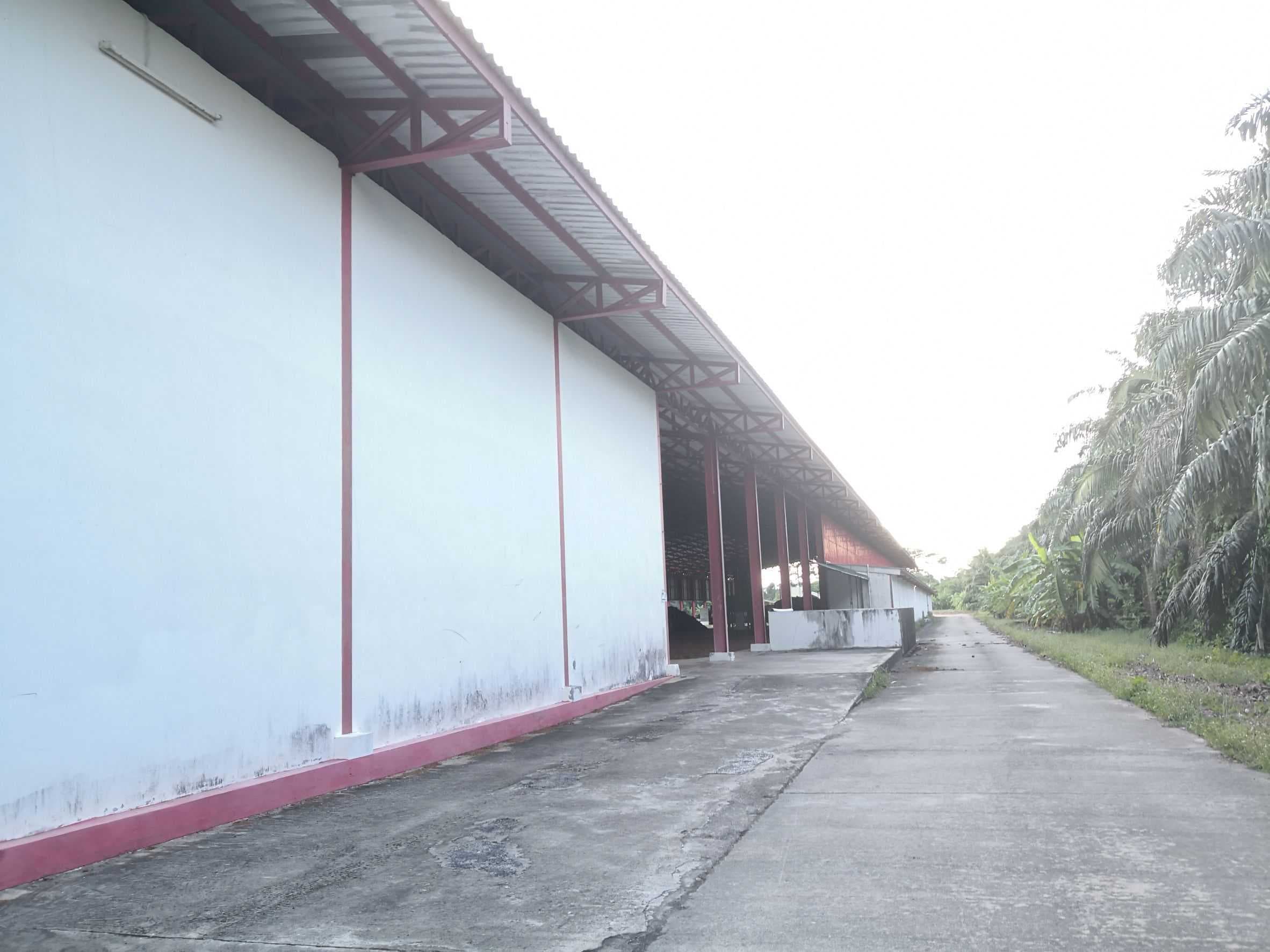 โรงงานพร้อมที่ดิน ทำเลทอง อ.กาญจนดิษฐ์ สุราษฎร์ธานี