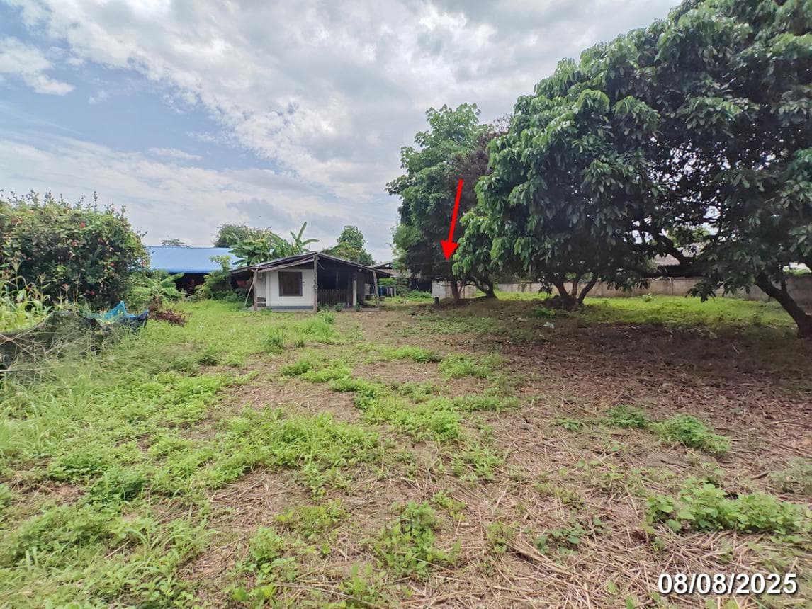 ขายบ้านเดี่ยว บ้านตาล ฮอด เชียงใหม่ บรรยากาศเงียบสงบ พื้นที่ 69.5 ตร.ว.