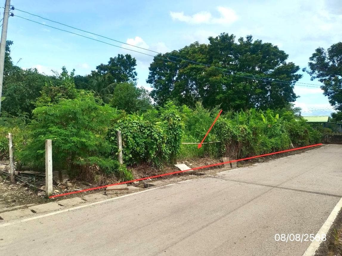 ขายที่ดินว่างเปล่า ดอกคำใต้ พะเยา ทำเลดอนศรีชุม เนื้อที่ 49.3 ตร.ว. เหมาะสำหรับลงทุนและพัฒนาโครงการ