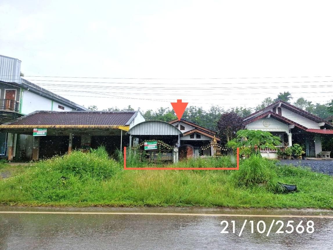 ขายบ้านเดี่ยว บางขัน นครศรีธรรมราช พื้นที่กว้างขวาง บรรยากาศเงียบสงบและเป็นส่วนตัว