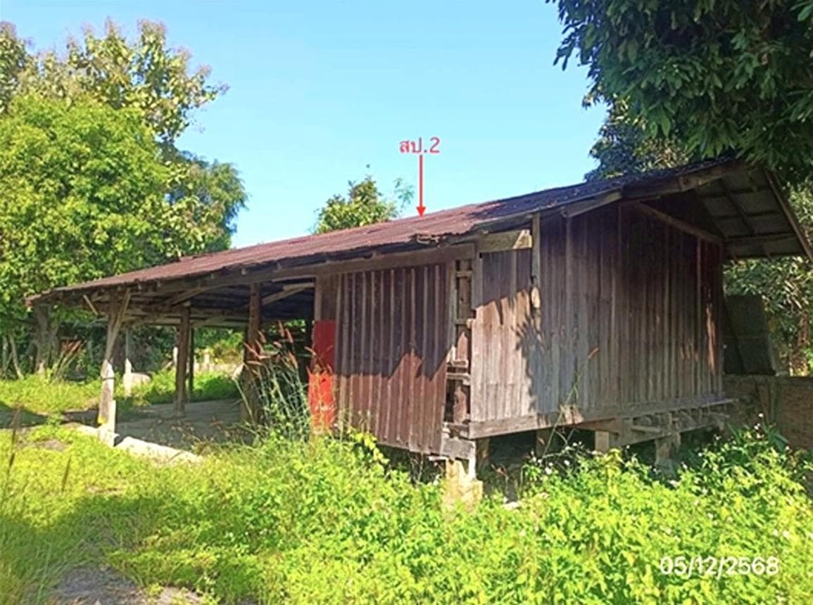 ขายบ้านเดี่ยว พาน เชียงราย ทำเลดอยงาม เนื้อที่ 53 ตร.ว. พื้นที่ใช้สอย 331 ตร.ม. 5 ห้องนอน 2 ห้องน้ำ สภาพดี พร้อมอยู่
