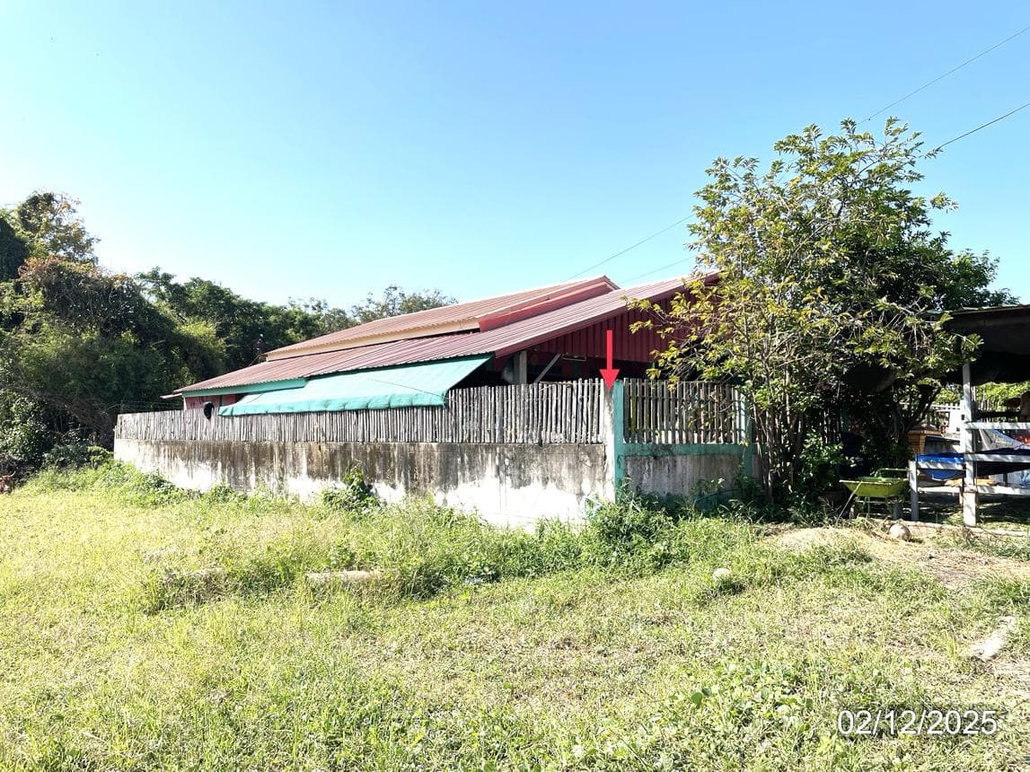 ขายบ้านเดี่ยว บ้านสวน เมืองสุโขทัย 2 ห้องนอน พื้นที่กว้าง 127.5 ตร.ม. ทำเลดี บรรยากาศเงียบสงบ ราคาล้านต้นๆ
