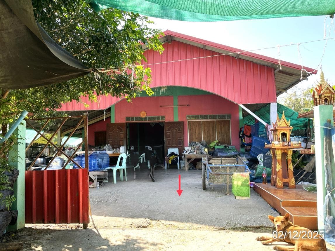 ขายบ้านเดี่ยว บ้านสวน เมืองสุโขทัย 2 ห้องนอน พื้นที่กว้าง 127.5 ตร.ม. ทำเลดี บรรยากาศเงียบสงบ ราคาล้านต้นๆ