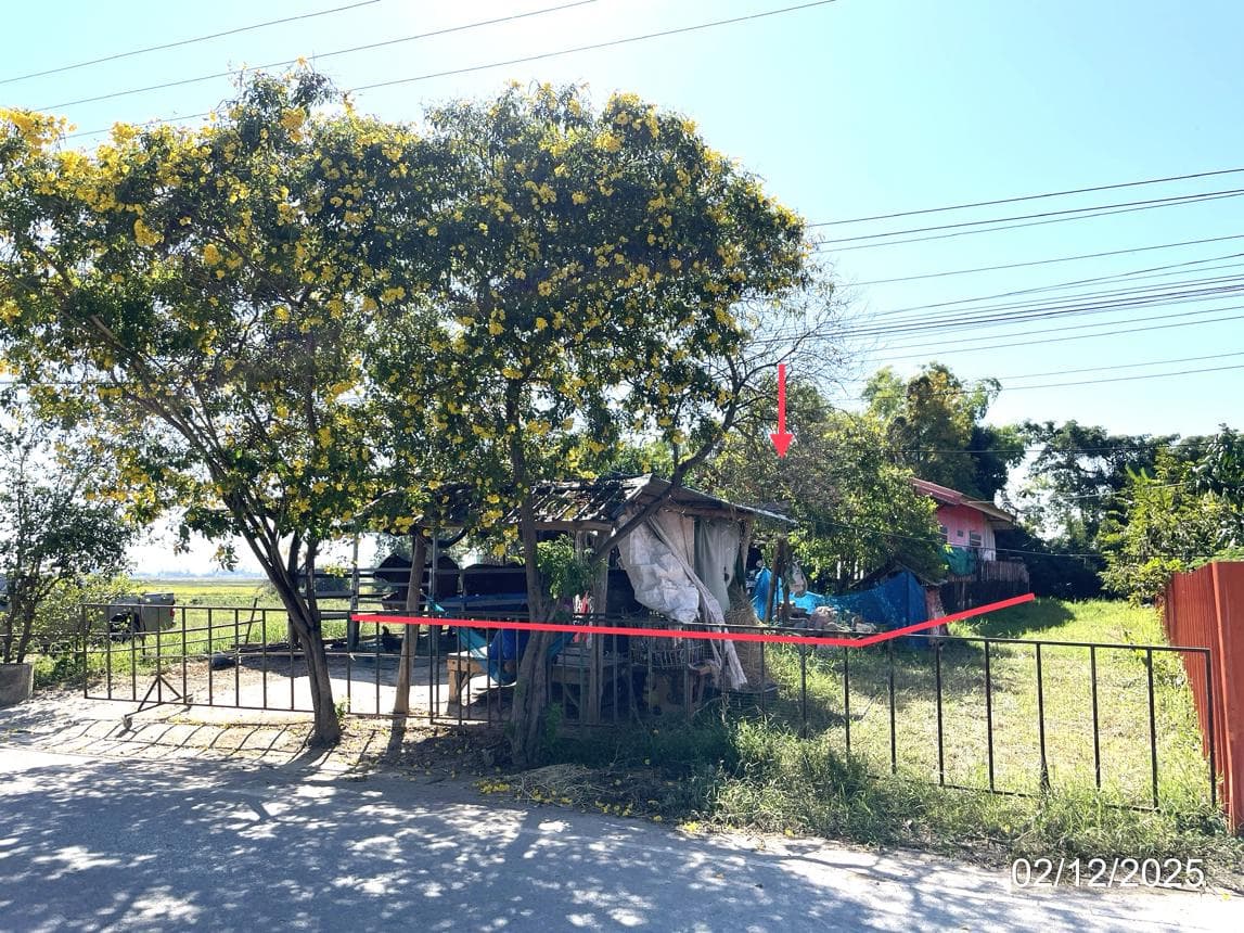 ขายบ้านเดี่ยว บ้านสวน เมืองสุโขทัย 2 ห้องนอน พื้นที่กว้าง 127.5 ตร.ม. ทำเลดี บรรยากาศเงียบสงบ ราคาล้านต้นๆ