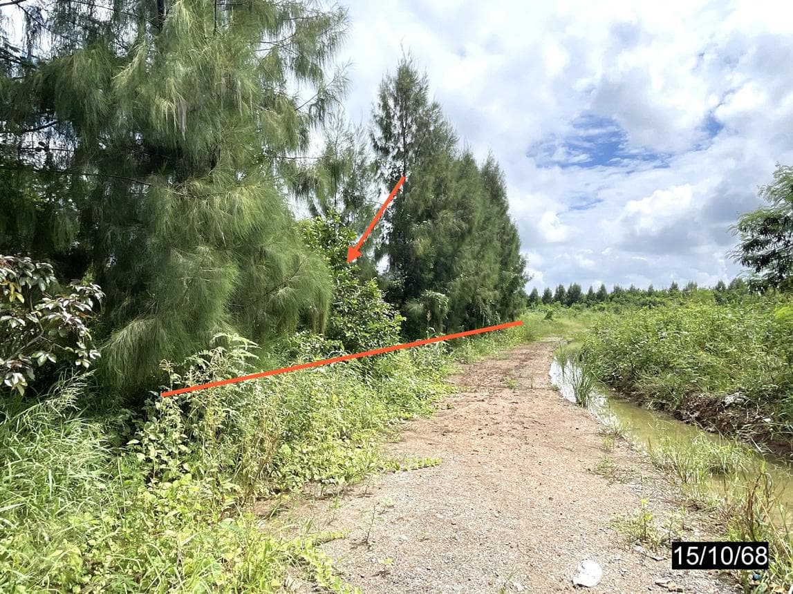 ที่ดินเปล่า หนองบัวใหญ่ จัตุรัส ชัยภูมิ เนื้อที่ 79 ตร.ว.