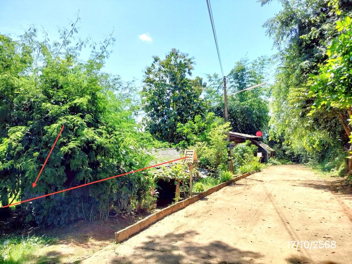 ขายที่ดินเปล่า เวียงชัย เวียงชัย เชียงราย ทำเลศักยภาพ เหมาะสร้างบ้านหรือลงทุน