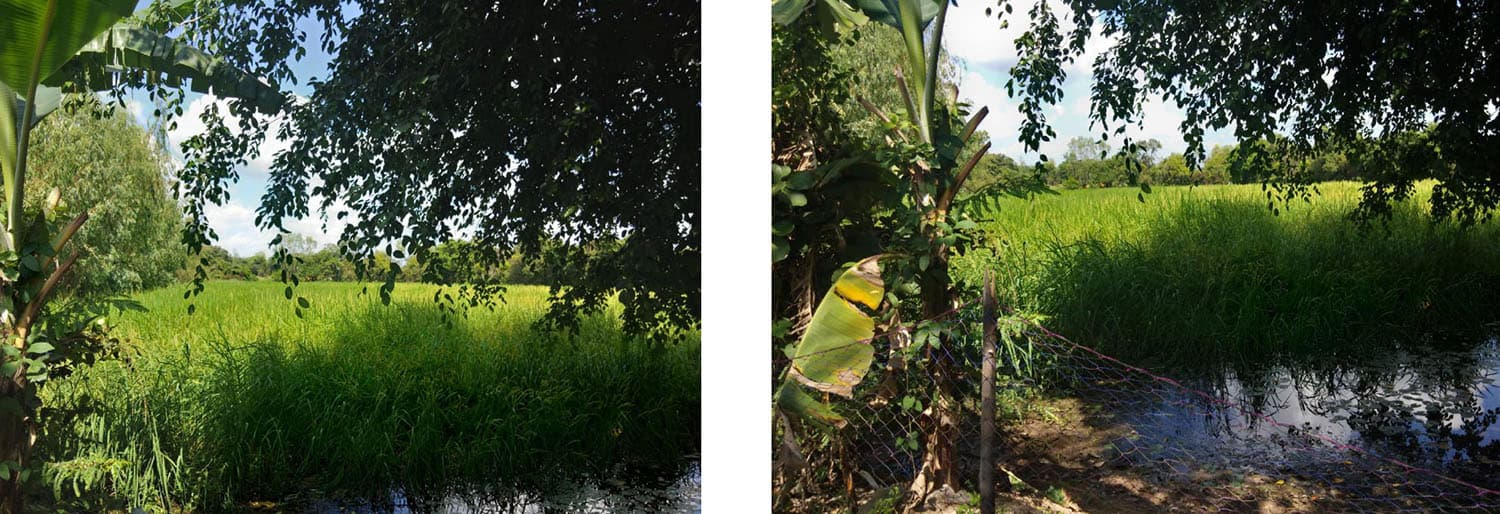 ที่ดินพร้อมสิ่งปลูกสร้าง เขื่องใน อุบลราชธานี