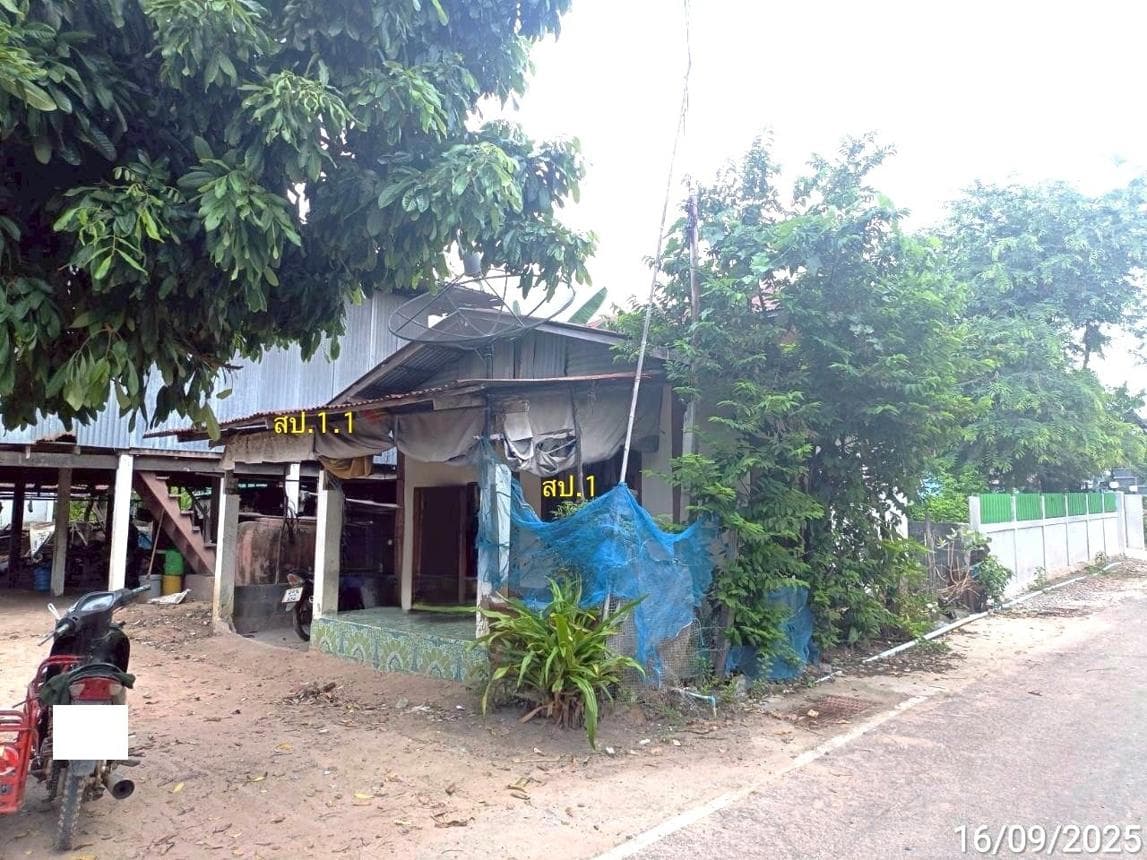 ขายบ้านเดี่ยว เด่นราษฎร์ หนองฮี ร้อยเอ็ด พื้นที่กว้าง 92 ตร.ว. บรรยากาศเงียบสงบ