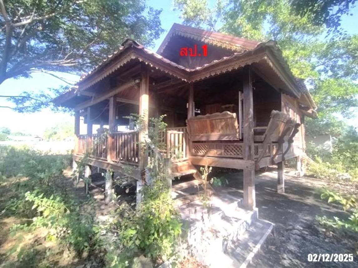 บ้านเดี่ยว นาหนัง โพนพิสัย หนองคาย พื้นที่ 66 ตร.ว. พื้นที่ใช้สอย 52.5 ตร.ม. 2 ห้องนอน 1 ห้องน้ำ