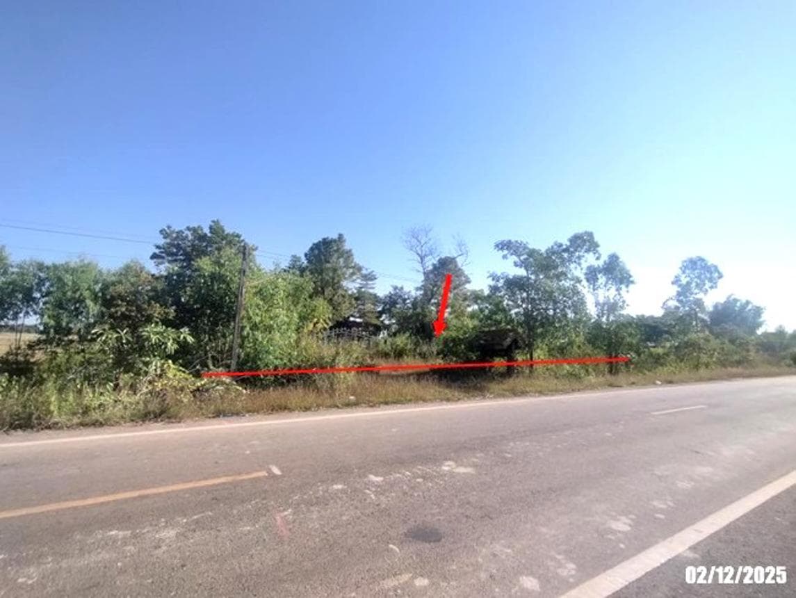 บ้านเดี่ยว นาหนัง โพนพิสัย หนองคาย พื้นที่ 66 ตร.ว. พื้นที่ใช้สอย 52.5 ตร.ม. 2 ห้องนอน 1 ห้องน้ำ