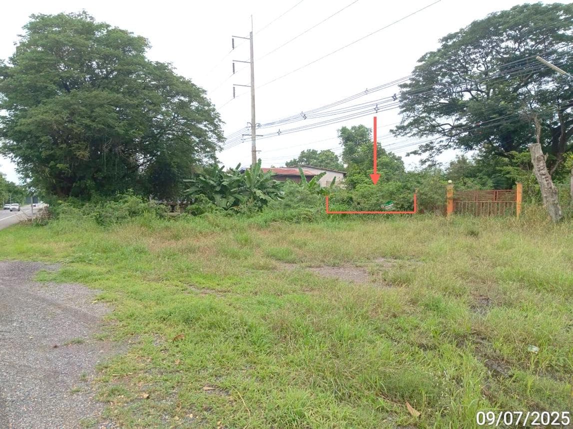 ขายที่ดิน พุขาม วิเชียรบุรี เพชรบูรณ์ พื้นที่ 34.8 ตร.ว.