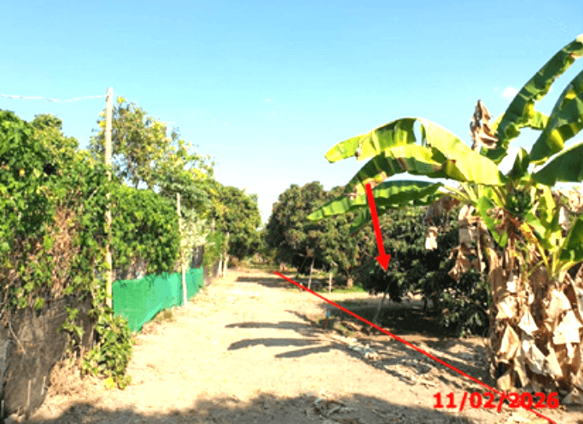 ขายที่ดินเปล่า หนองยวง เวียงหนองล่อง ลำพูน ทำเลดี เหมาะสำหรับสร้างบ้านหรือการลงทุน ราคา 1.2 ล้าน