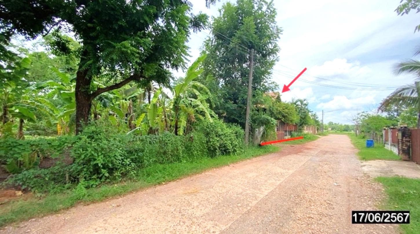 ขายบ้านเดี่ยวชั้นเดียว พื้นที่ 36 ตร.ว. ต.ศรีชมภู อ.พรเจริญ จ.บึงกาฬ ทำเลสงบ เป็นส่วนตัว ราคาประหยัดไม่ถึงล้าน