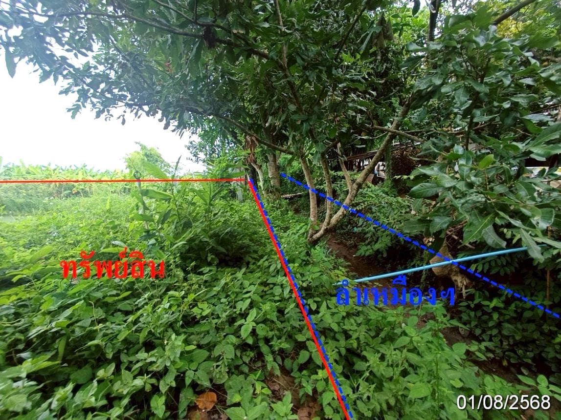 ขายที่ดินว่างเปล่า แม่คะ ฝาง เชียงใหม่ ทำเลศักยภาพ เหมาะสำหรับลงทุน