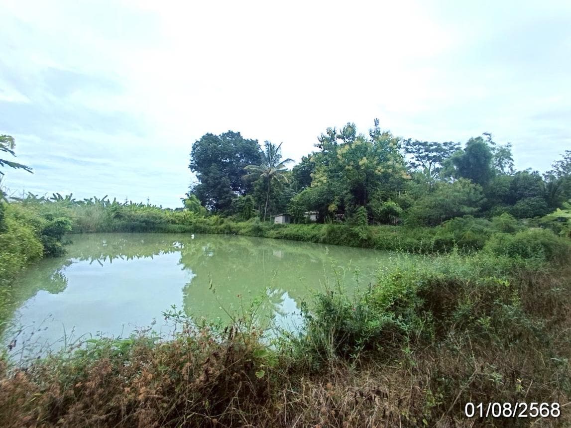 ขายที่ดินว่างเปล่า แม่คะ ฝาง เชียงใหม่ ทำเลศักยภาพ เหมาะสำหรับลงทุน