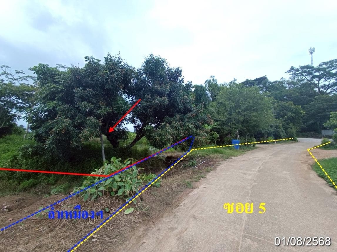 ขายที่ดินว่างเปล่า แม่คะ ฝาง เชียงใหม่ ทำเลศักยภาพ เหมาะสำหรับลงทุน