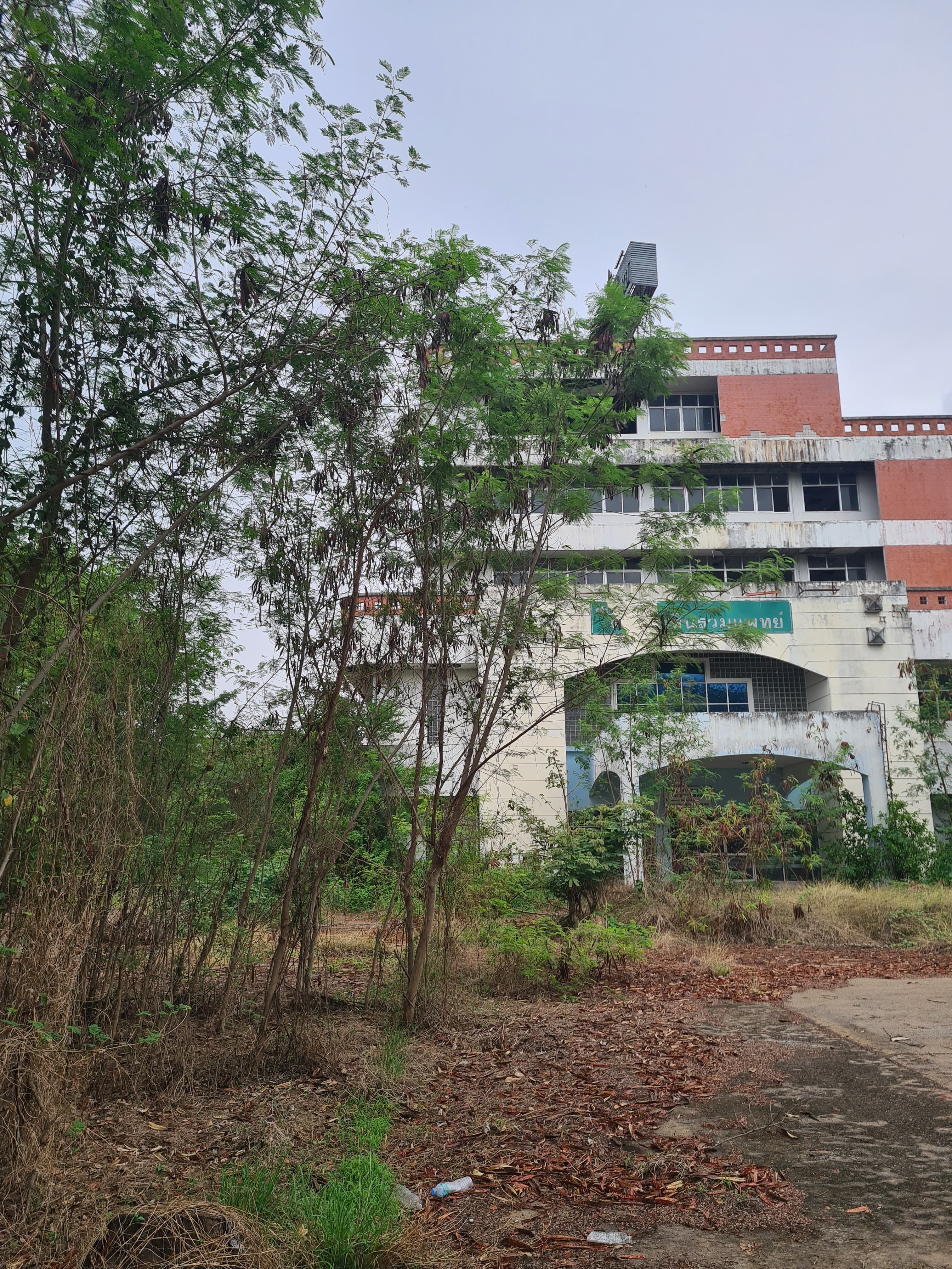 โรงพยาบาล ตะพานหิน พิจิตร