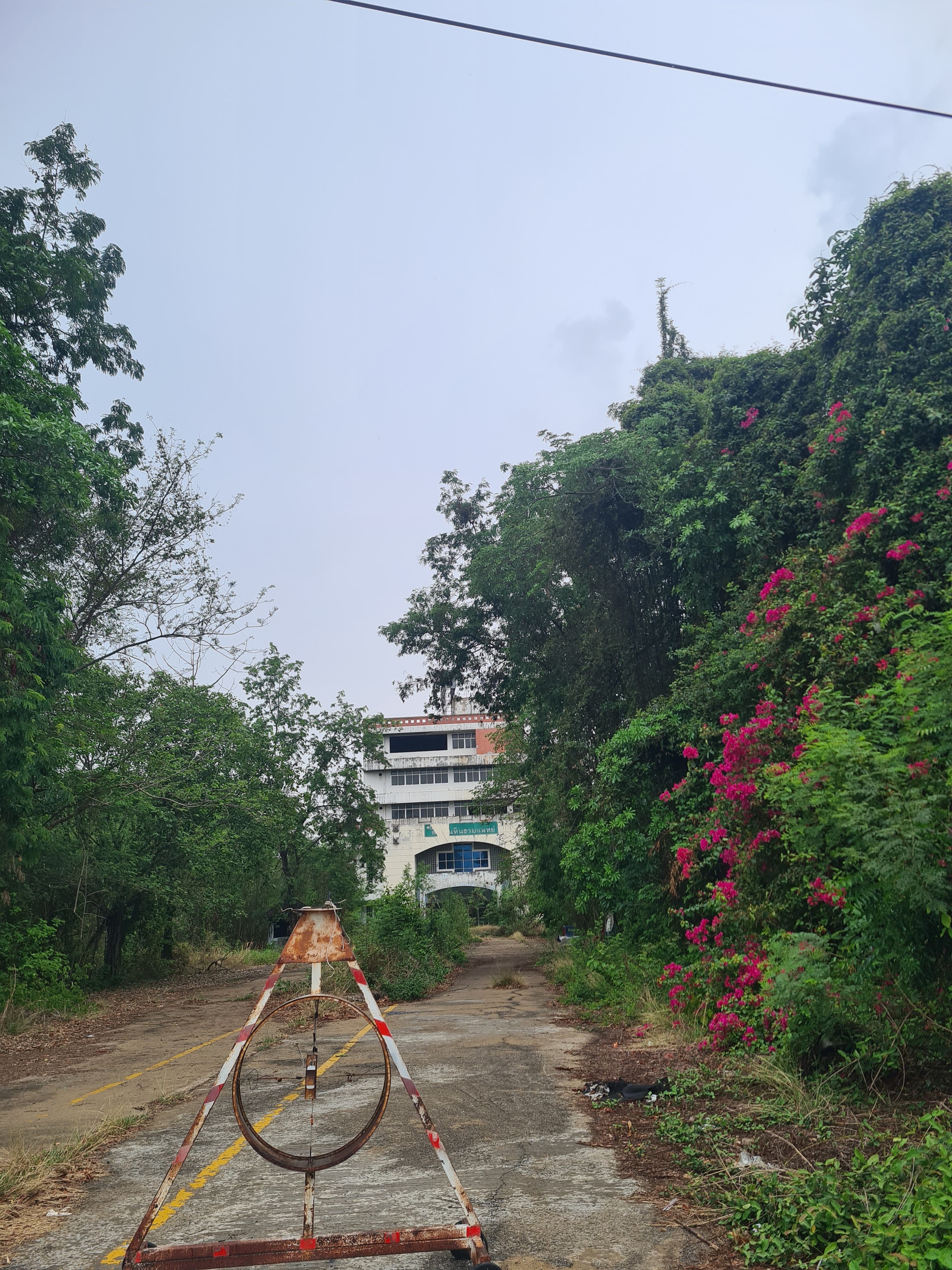 โรงพยาบาล ตะพานหิน พิจิตร