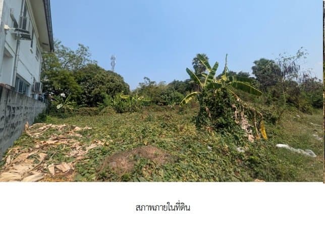 ที่ดินว่างเปล่า