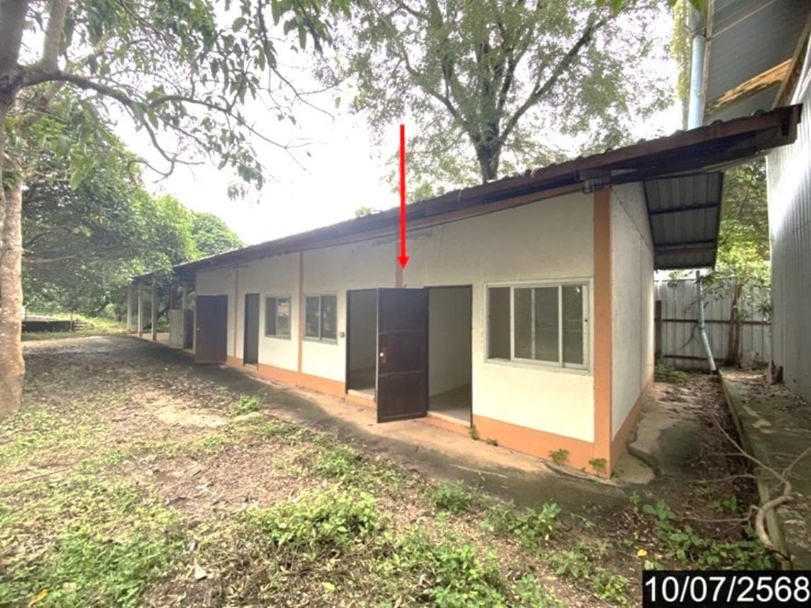 ขายบ้านเดี่ยว โพนแพง รัตนวาปี หนองคาย พื้นที่ 126 ตร.ม. 3 ห้องนอน 2 ห้องน้ำ