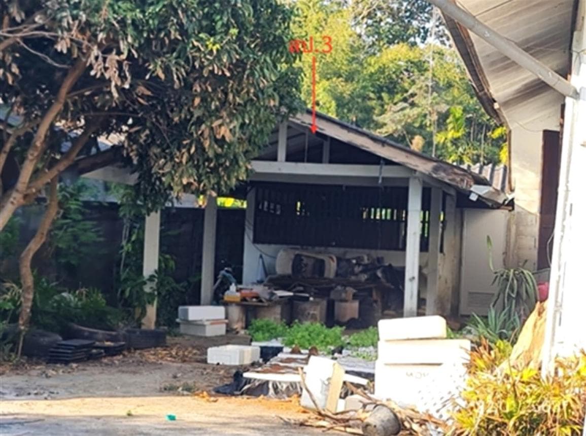 ขายบ้านเดี่ยว โป่งแพร่ แม่ลาว เชียงราย 3 ห้องนอน พื้นที่กว้างขวาง 97 ตร.ว. บรรยากาศสุดร่มรื่น