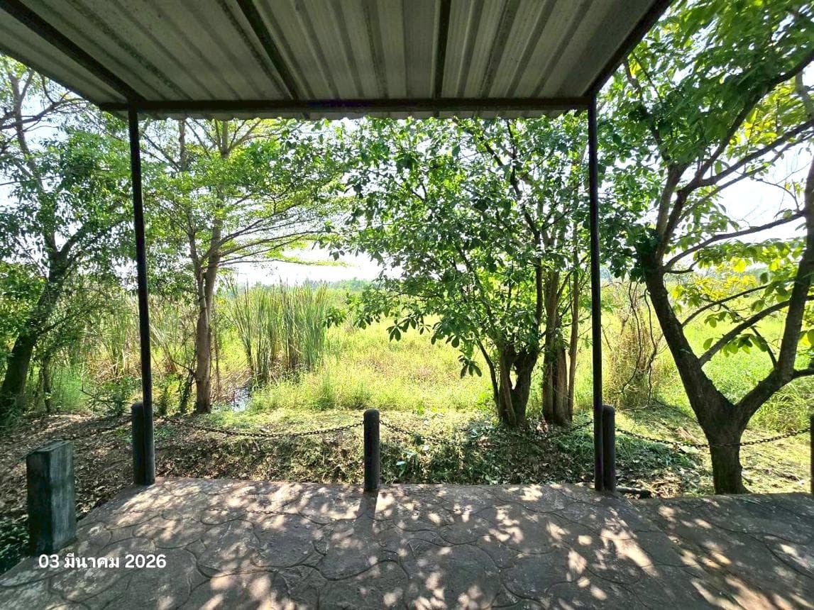 ขายบ้านเดี่ยว สมอแข เมืองพิษณุโลก พิษณุโลก 1 ห้องนอน พื้นที่ใช้สอย 62 ตร.ม.