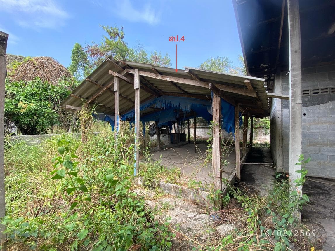 บ้านเดี่ยว 2 ห้องนอน พื้นที่ 140 ตร.ม. บนเนื้อที่ 91.4 ตร.ว. ทำเลศักยภาพ ธาตุทอง บ่อทอง ชลบุรี