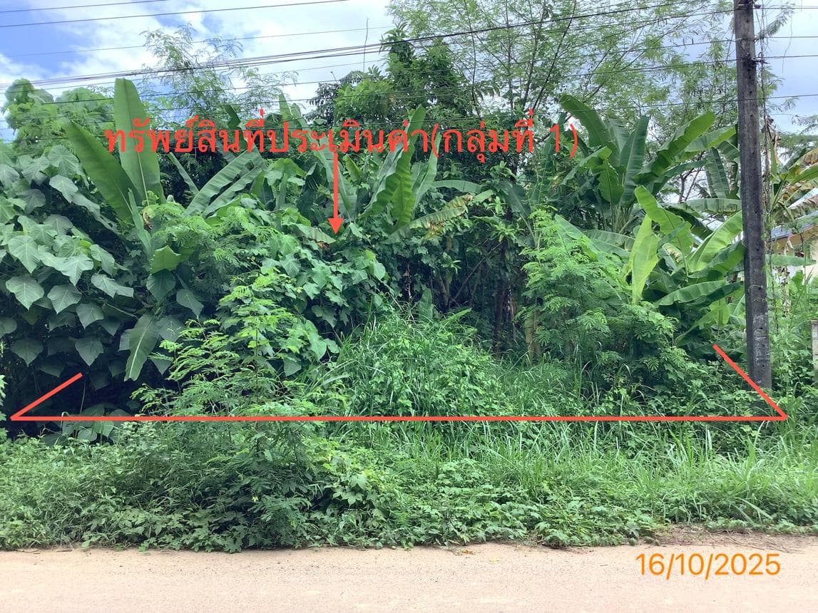 ที่ดินว่างเปล่าทำเลศักยภาพ เนื้อที่ 7.4 ตร.ว. ใจกลางย่านตาขาว จ.ตรัง เหมาะสำหรับการลงทุนและพัฒนา