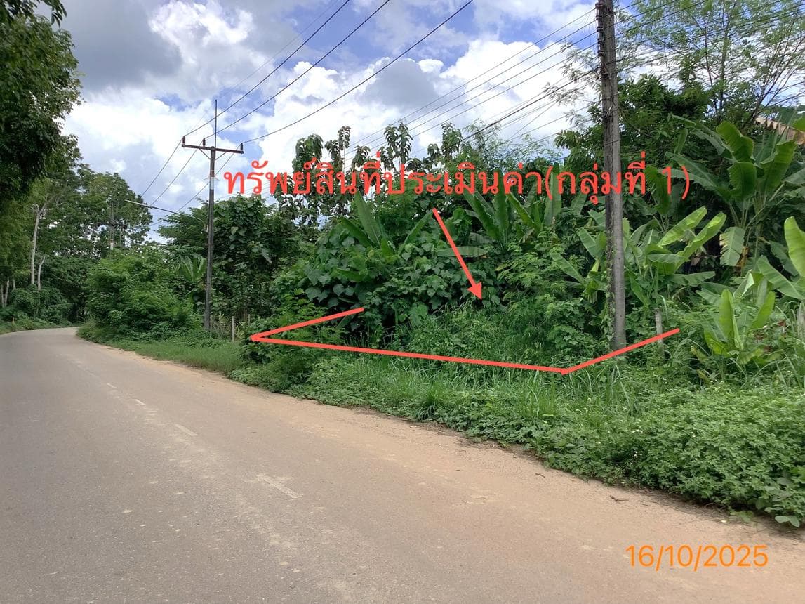 ที่ดินว่างเปล่าทำเลศักยภาพ เนื้อที่ 7.4 ตร.ว. ใจกลางย่านตาขาว จ.ตรัง เหมาะสำหรับการลงทุนและพัฒนา
