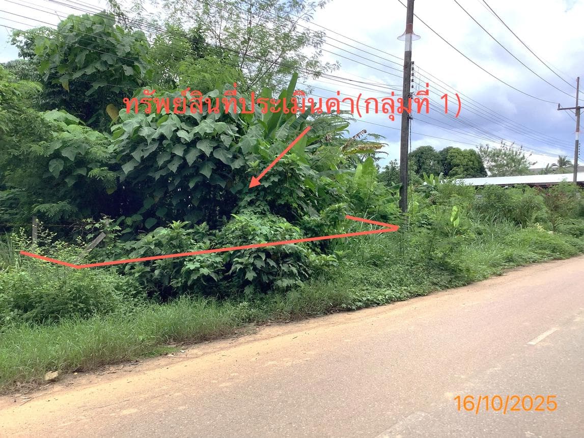 ที่ดินว่างเปล่าทำเลศักยภาพ เนื้อที่ 7.4 ตร.ว. ใจกลางย่านตาขาว จ.ตรัง เหมาะสำหรับการลงทุนและพัฒนา
