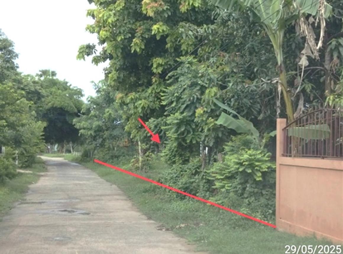 ขายบ้านเดี่ยว บุรีรัมย์ โซนนาโพธิ์ พื้นที่กว้างขวาง บรรยากาศสงบ ทำเลดีเป็นส่วนตัว