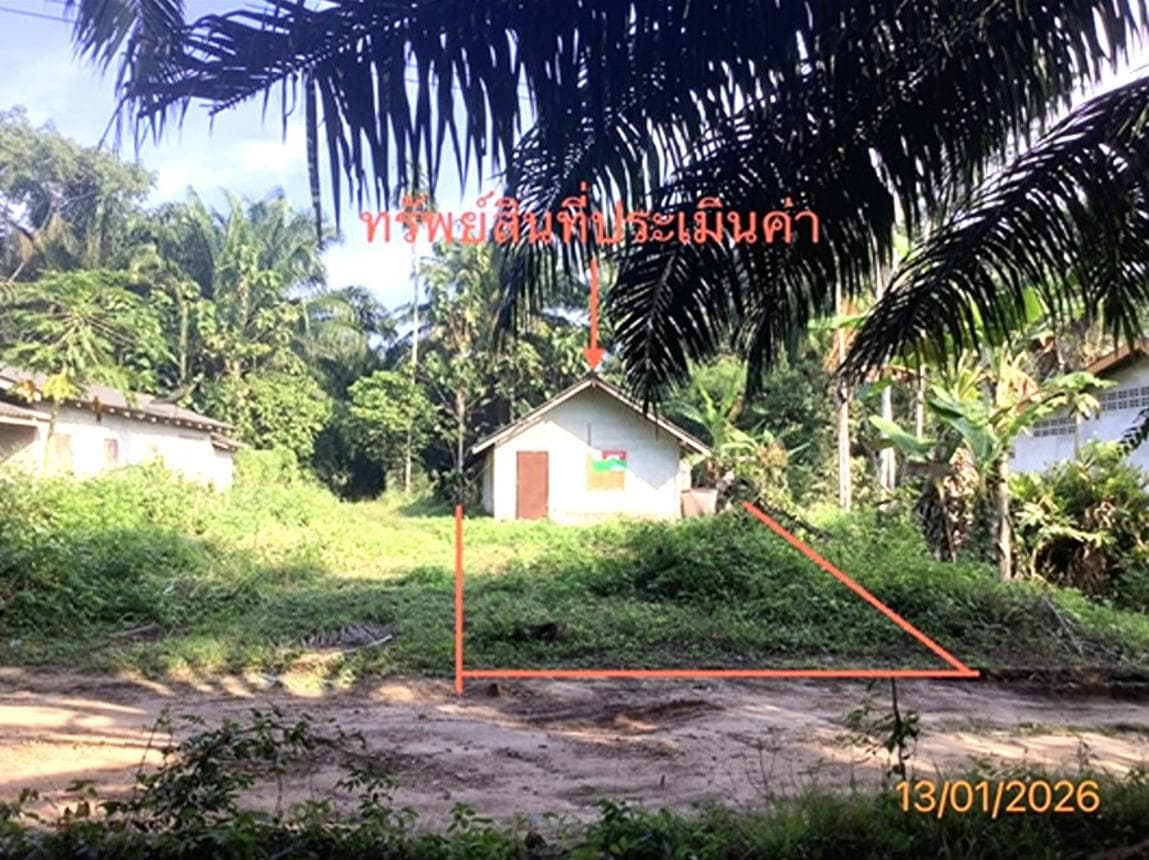 ขายบ้านเดี่ยว ท่ายาง ทุ่งใหญ่ นครศรีธรรมราช บรรยากาศสงบ พื้นที่ 65.5 ตร.ว.