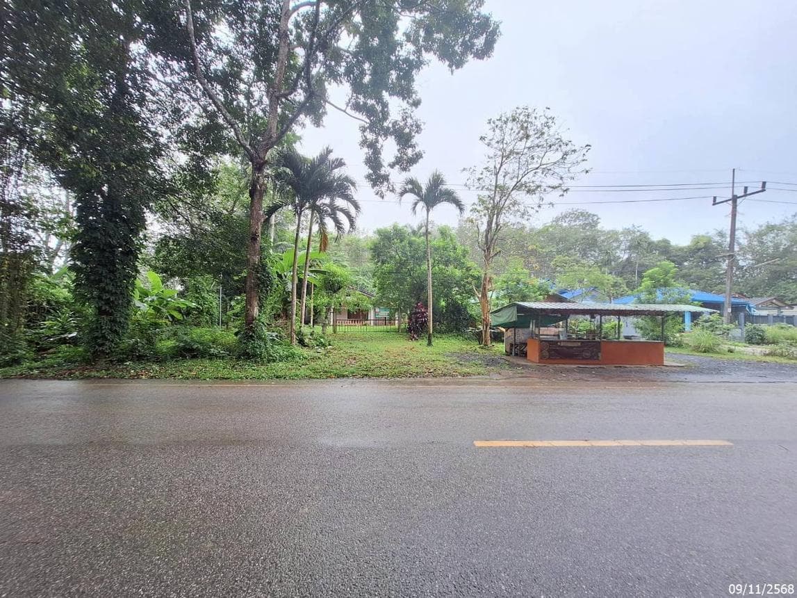 ขายบ้านเดี่ยว 2 ห้องนอน บ้านโพธิ์ เมืองตรัง พื้นที่กว้าง 48 ตร.ว. ทำเลสงบเดินทางสะดวก