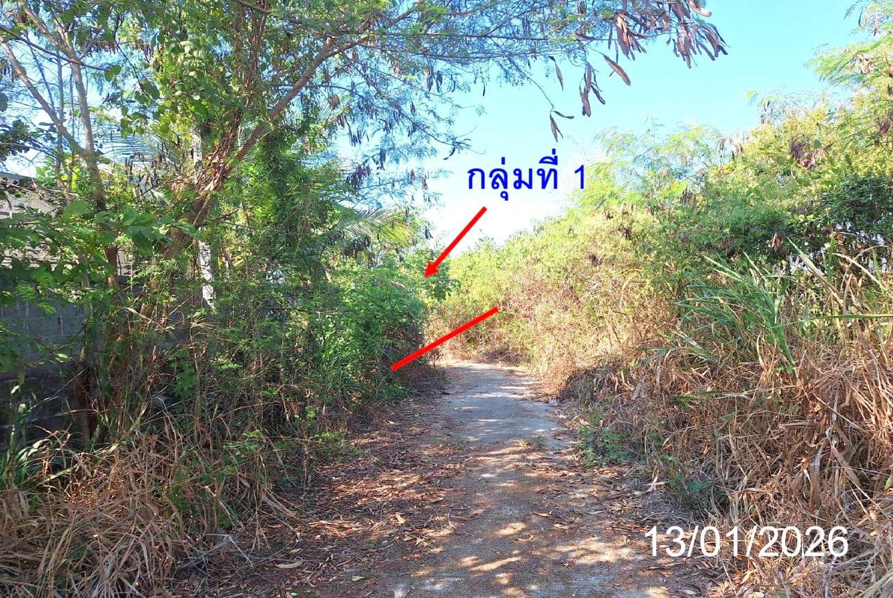 ที่ดินว่างเปล่า ท่าตุ้ม ป่าซาง ลำพูน เนื้อที่ 85.9 ตร.ว. ทำเลสงบ บรรยากาศธรรมชาติ เหมาะสำหรับปลูกบ้านพักอาศัย ราคาพิเศษ 3.03 ล้าน