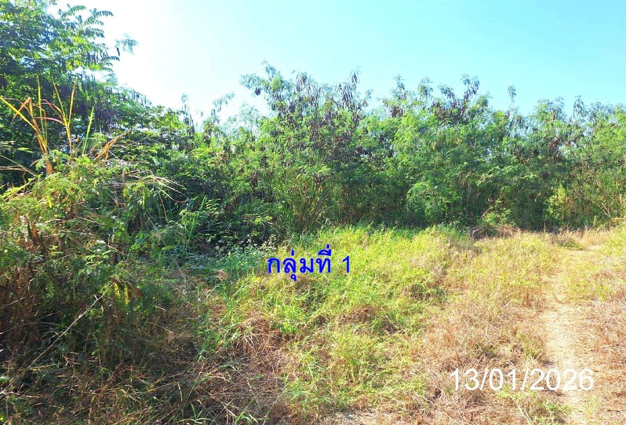ที่ดินว่างเปล่า ท่าตุ้ม ป่าซาง ลำพูน เนื้อที่ 85.9 ตร.ว. ทำเลสงบ บรรยากาศธรรมชาติ เหมาะสำหรับปลูกบ้านพักอาศัย ราคาพิเศษ 3.03 ล้าน