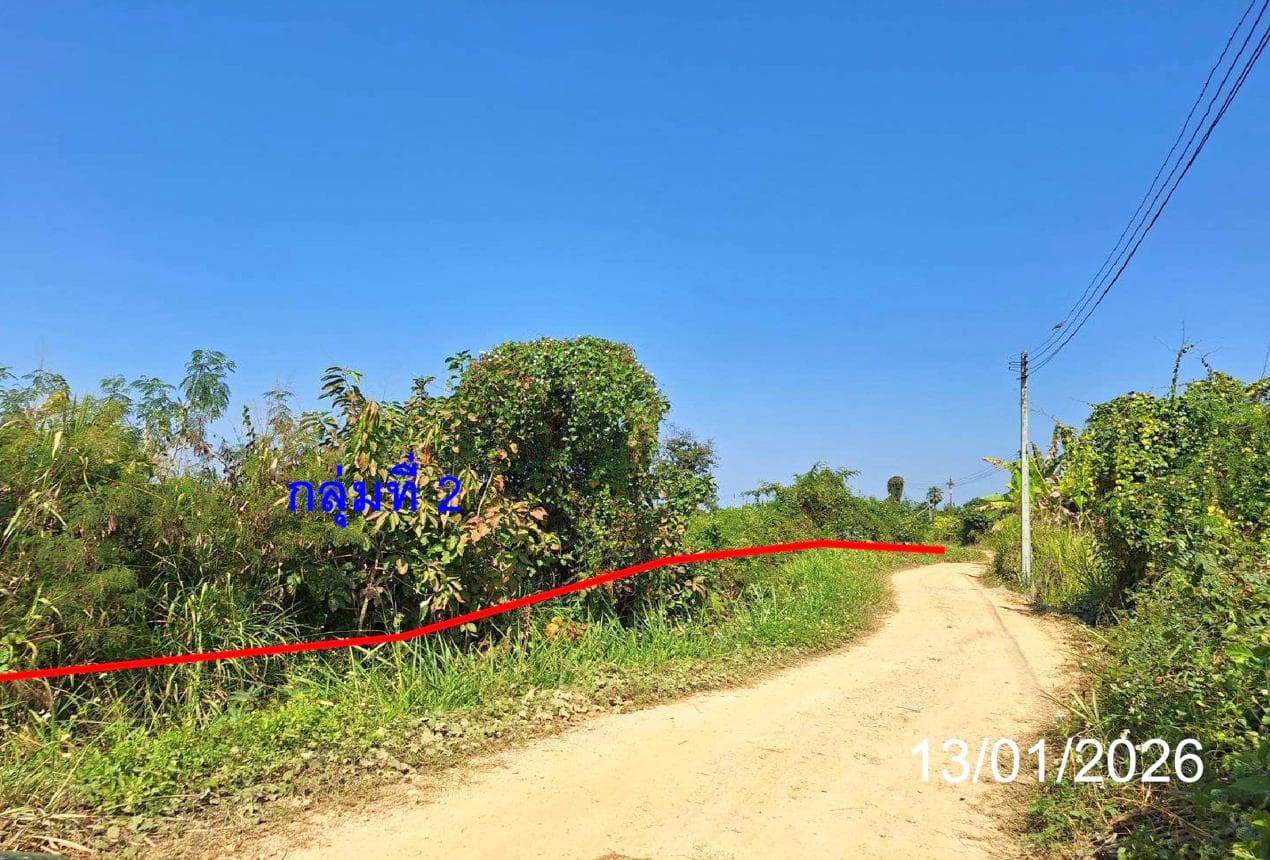ที่ดินว่างเปล่า ท่าตุ้ม ป่าซาง ลำพูน เนื้อที่ 85.9 ตร.ว. ทำเลสงบ บรรยากาศธรรมชาติ เหมาะสำหรับปลูกบ้านพักอาศัย ราคาพิเศษ 3.03 ล้าน