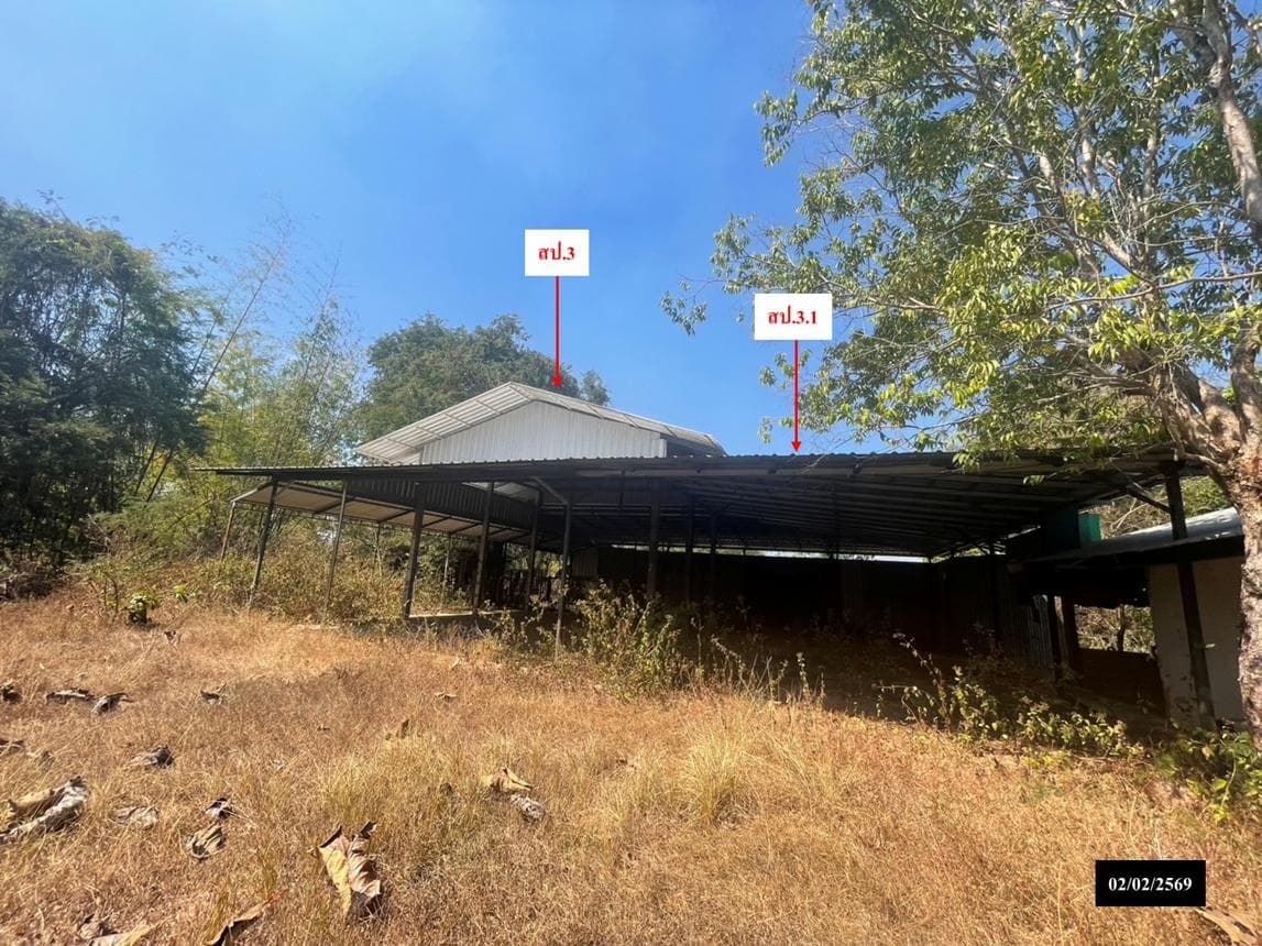 บ้านเดี่ยว 1 ห้องนอน พื้นที่ 66 ตร.ม. ทำเลศักยภาพ บ้านผึ้ง เมืองนครพนม นครพนม