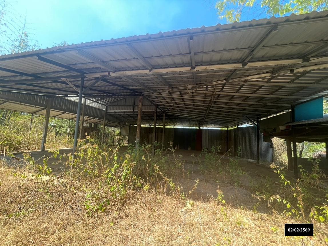 บ้านเดี่ยว 1 ห้องนอน พื้นที่ 66 ตร.ม. ทำเลศักยภาพ บ้านผึ้ง เมืองนครพนม นครพนม