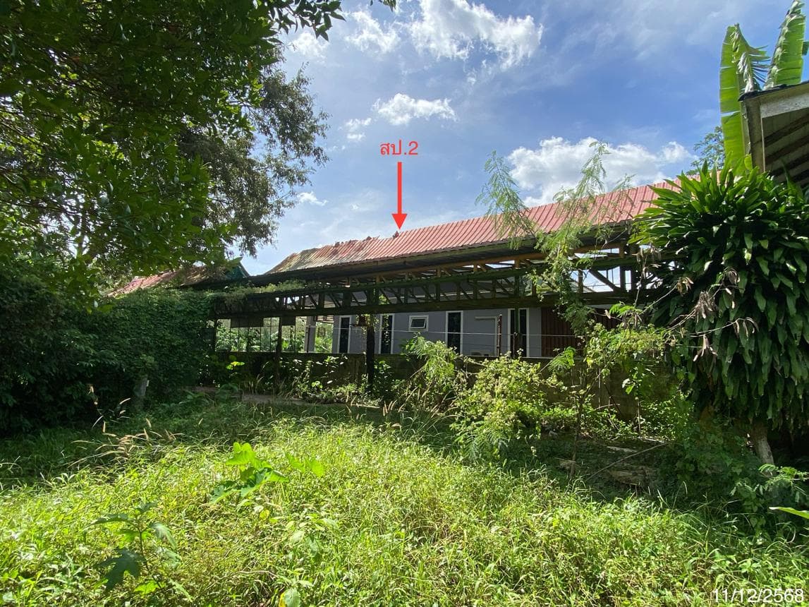บ้านเดี่ยว เกาะเต่า ป่าพะยอม พัทลุง พื้นที่ 63.7 ตร.ว. พื้นที่ใช้สอย 168.04 ตร.ม.