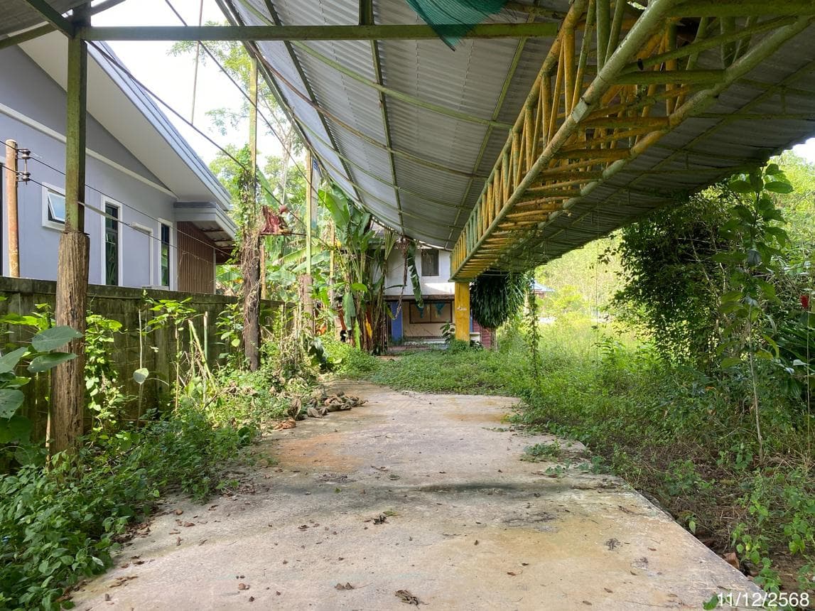 บ้านเดี่ยว เกาะเต่า ป่าพะยอม พัทลุง พื้นที่ 63.7 ตร.ว. พื้นที่ใช้สอย 168.04 ตร.ม.