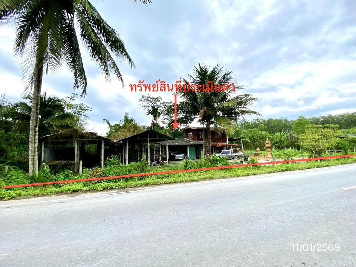 ขายบ้านเดี่ยว ทุ่งสง นครศรีธรรมราช ทำเลนาโพธิ์ เนื้อที่ 33 ตร.ว. พื้นที่ใช้สอย 280 ตร.ม. 2 ห้องนอน 1 ห้องน้ำ สภาพดี พร้อมอยู่