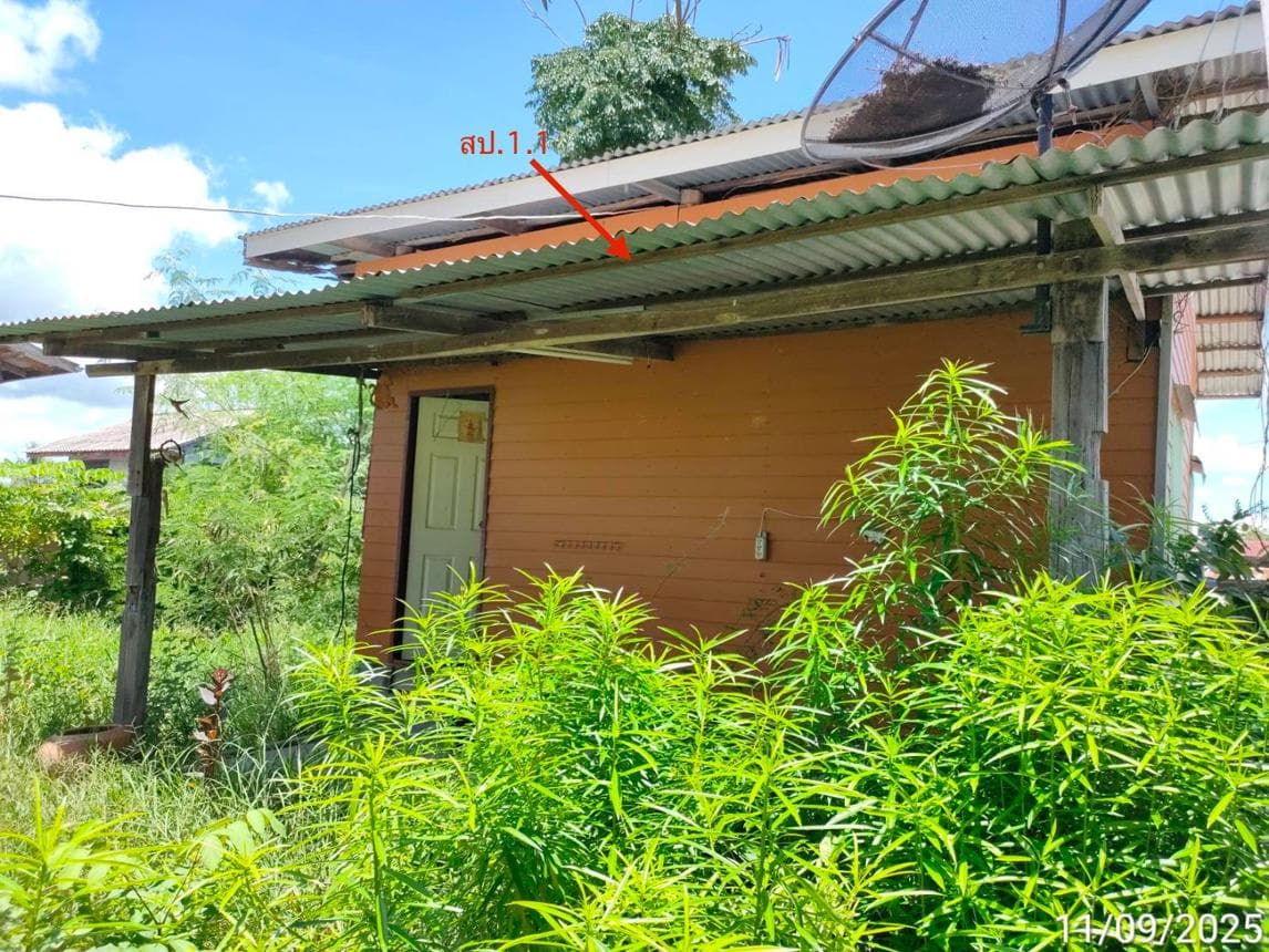 ขายบ้านเดี่ยว สระโบสถ์ ลพบุรี 1 ห้องนอน เนื้อที่กว้าง 93 ตร.ว. ราคาเพียง 5 แสน