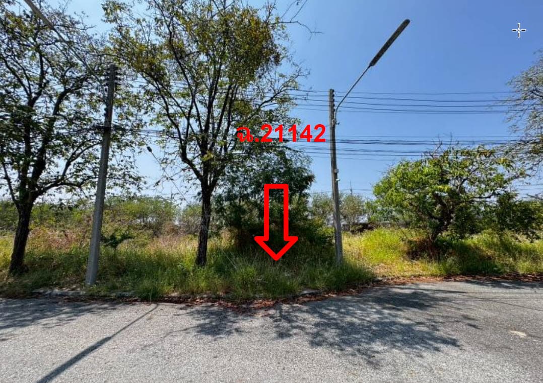 ที่ดินเปล่า บางปะกง ฉะเชิงเทรา