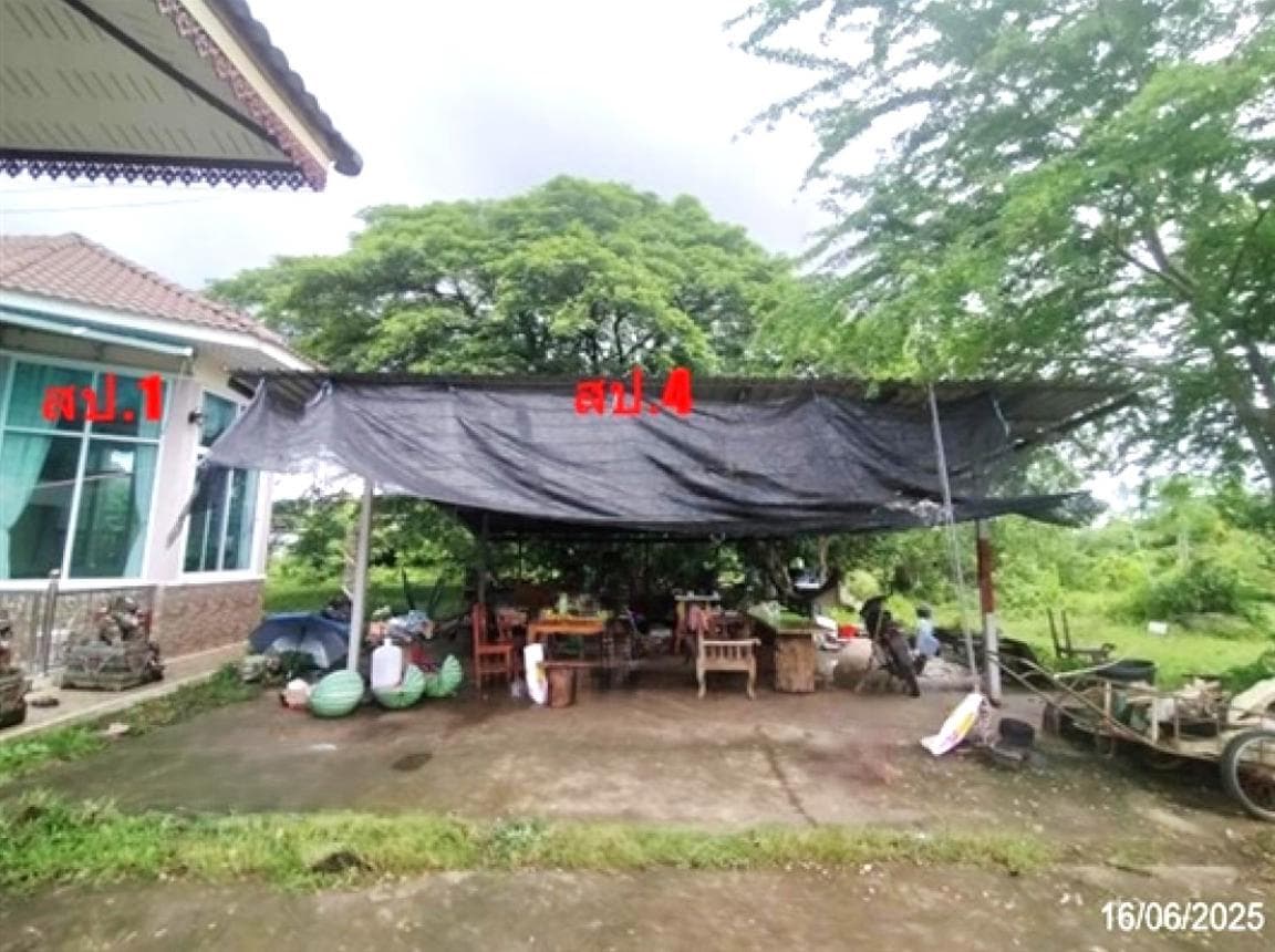 ขายบ้านเดี่ยวหลังใหญ่ บึงโขงหลง บึงกาฬ พื้นที่กว่า 234 ตร.ม. ทำเลสงบ เป็นส่วนตัว