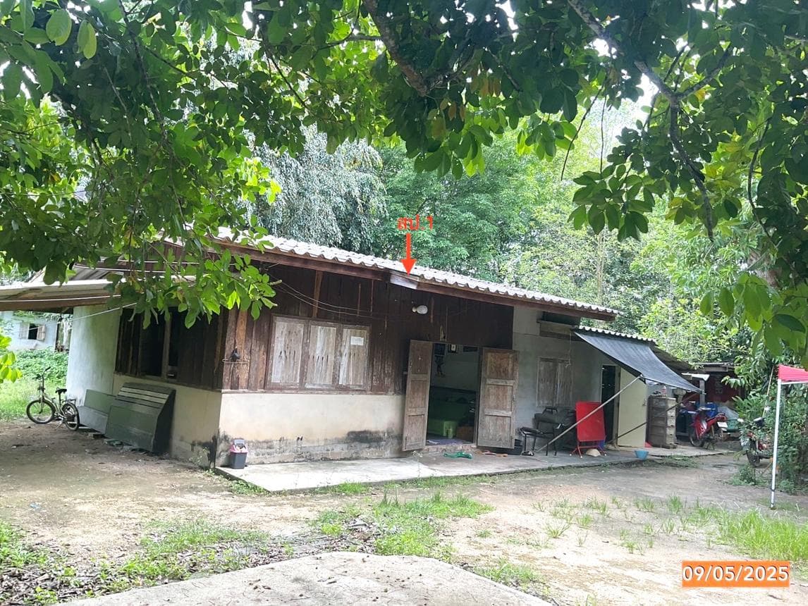 บ้านเดี่ยว หลักช้าง ช้างกลาง นครศรีธรรมราช 2 ห้องนอน 1 ห้องน้ำ พื้นที่ 69 ตร.ม. บนที่ดินกว้าง 83 ตร.ว. ราคาไม่ถึงล้าน