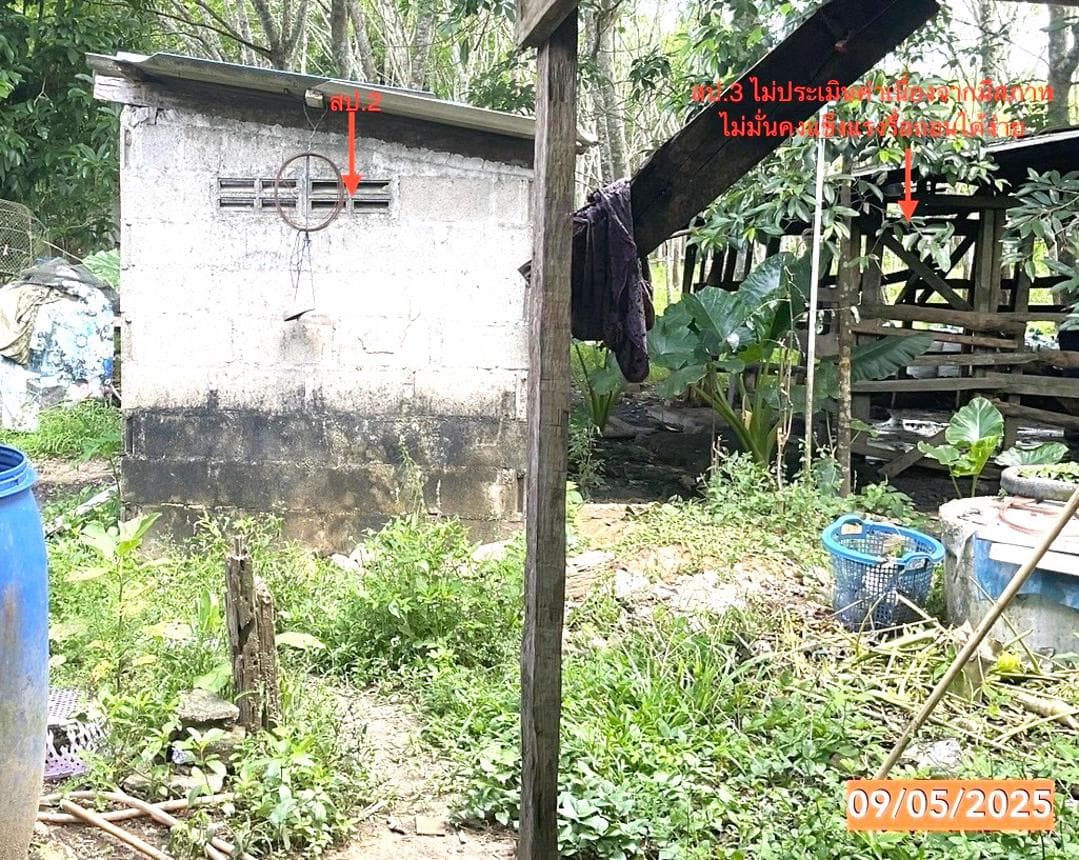 บ้านเดี่ยว หลักช้าง ช้างกลาง นครศรีธรรมราช 2 ห้องนอน 1 ห้องน้ำ พื้นที่ 69 ตร.ม. บนที่ดินกว้าง 83 ตร.ว. ราคาไม่ถึงล้าน