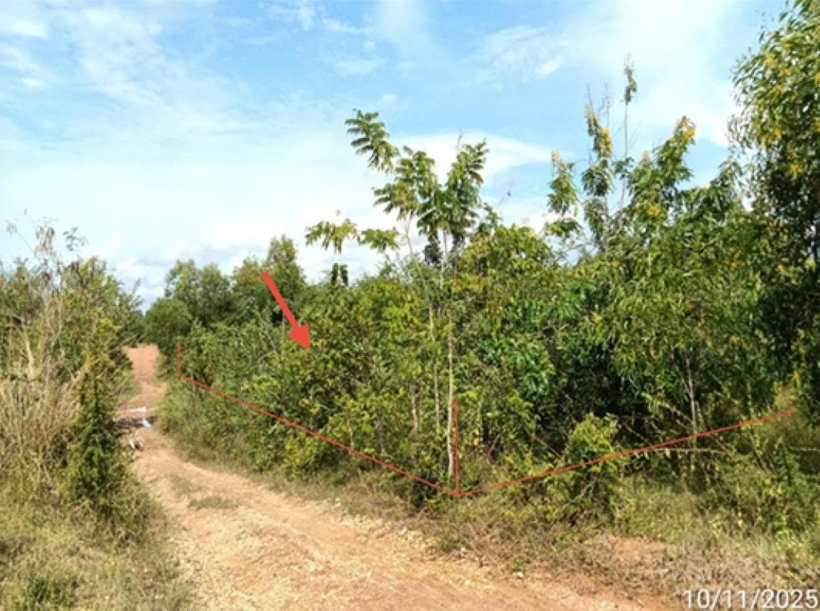 ขายที่ดิน ร้องเข็ม ร้องกวาง แพร่ เนื้อที่ 90 ตร.ว.