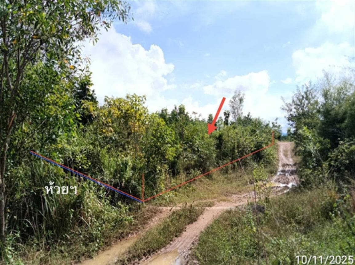 ขายที่ดิน ร้องเข็ม ร้องกวาง แพร่ เนื้อที่ 90 ตร.ว.