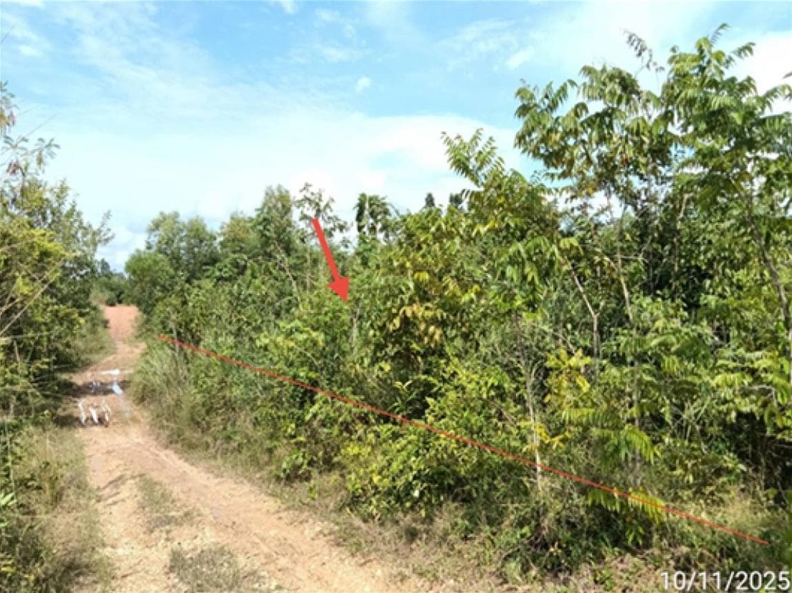 ขายที่ดิน ร้องเข็ม ร้องกวาง แพร่ เนื้อที่ 90 ตร.ว.