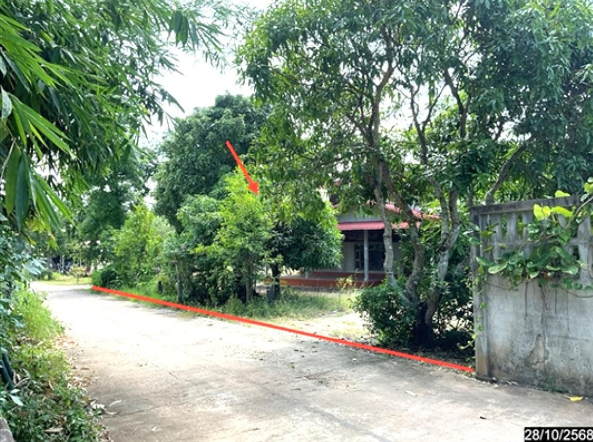 ขายบ้านเดี่ยว หนองหิน เลย พื้นที่ใช้สอยกว้างขวาง 330 ตร.ม. บนที่ดิน 98 ตร.ว. ทำเลสงบ ใกล้แหล่งท่องเที่ยวคุนหมิงเมืองไทย